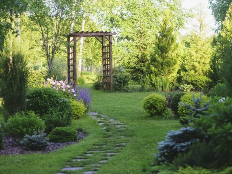 General Garden Maintenance around Melbourne areas