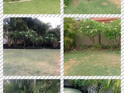 Gardening, landscaping service and maintenance and gutters cleaning