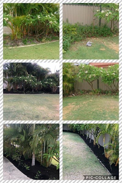 Gardening, landscaping service and maintenance and gutters cleaning