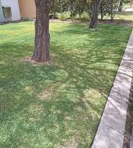 gardening weeding hedging mulching lawn mowing