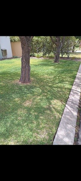 gardening weeding hedging mulching lawn mowing