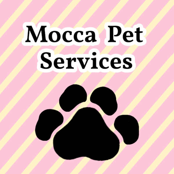 NIXY Graphics - Logos & designs