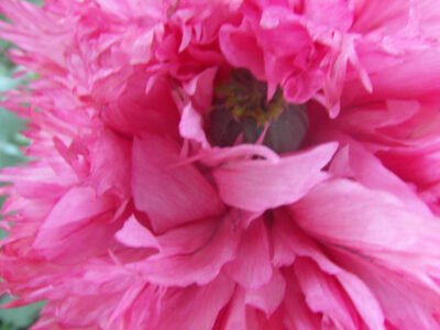 Inner Sense Intuitive Counselling Services