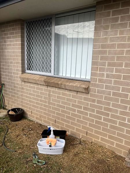 Little blues Window Cleaning