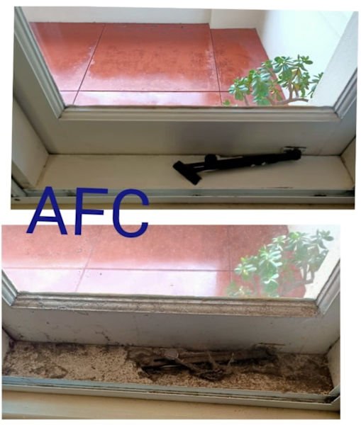 House Cleaning Service