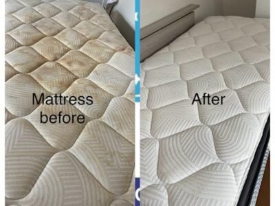 Special 3 bedroom carpet cleaning $99