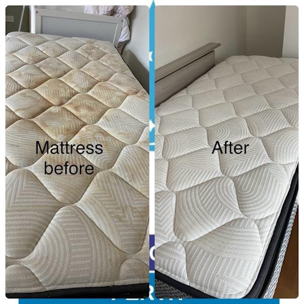 Special 3 bedroom carpet cleaning $99