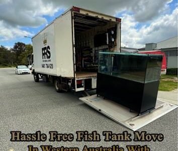 Furniture Removals, Two Removalists with truck, Delivery, MOVER