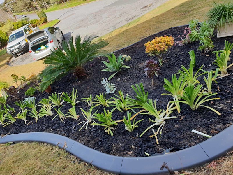 Gardens, trees & property clean-up