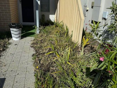 Gardening Services AND Gutters Cleaning
