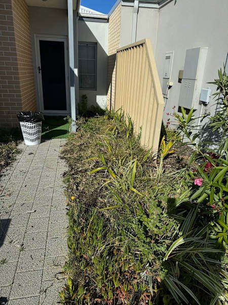 Gardening Services AND Gutters Cleaning