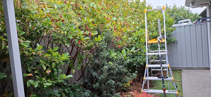 Landscaping & Garden Maintenance