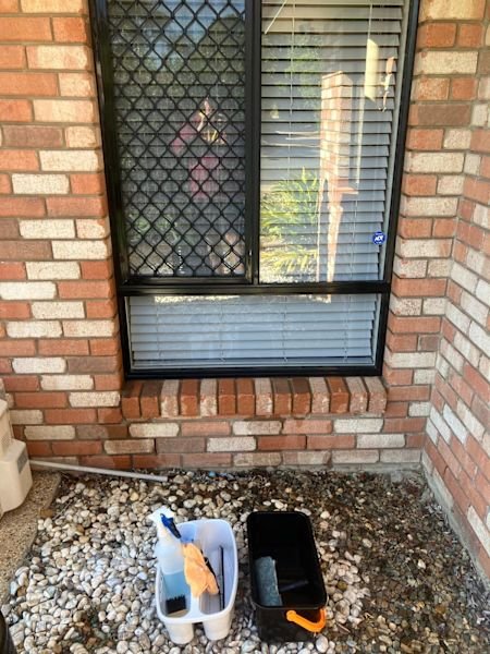 Little blues Window Cleaning