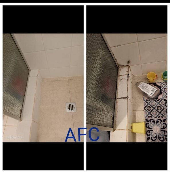 House Cleaning Service