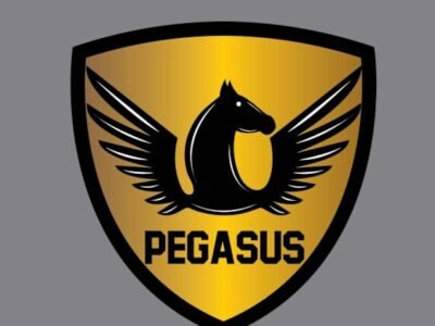 Professional logo design for $79, delivered in 24h hours fast service