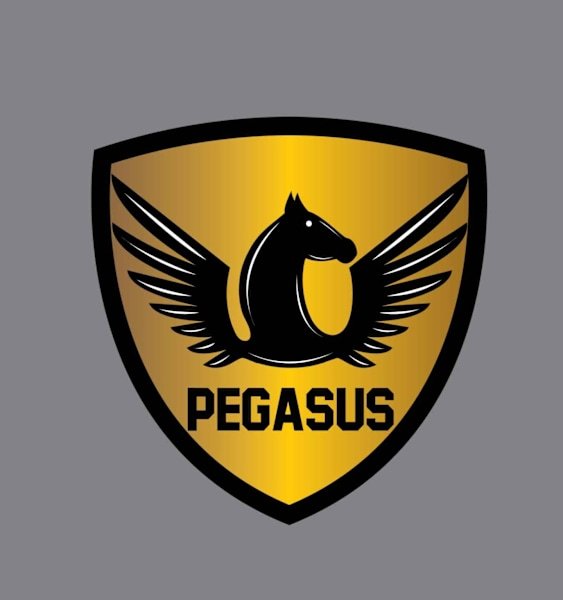 Professional logo design for $79, delivered in 24h hours fast service