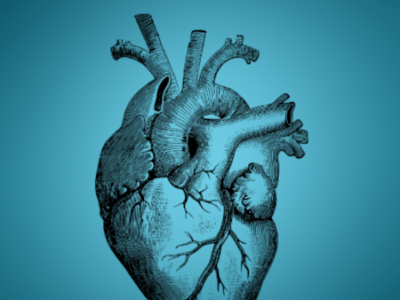 NIXY Graphics - Logos & designs