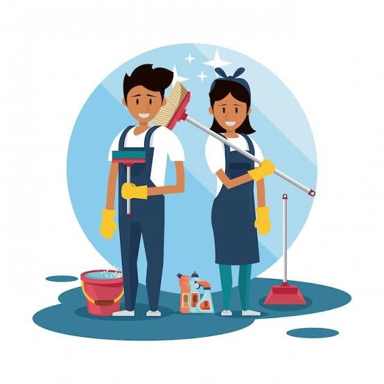 house/apartment cleaning service