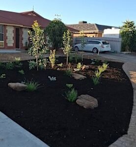 Landscaping & Garden Maintenance