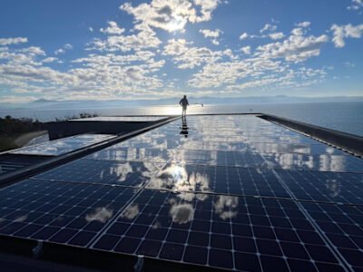 Window Cleaning Services