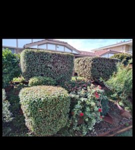 GARDENING WEEDING LAWN MOWING CHAINSAW WORK