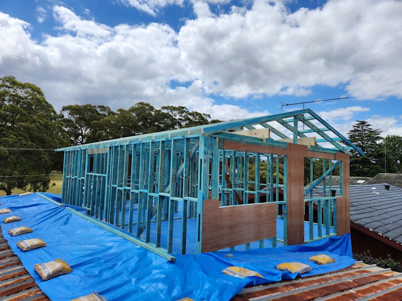 Carpenter/Builder looking for work