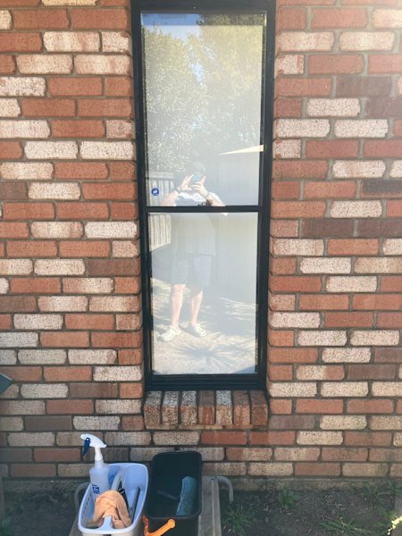 Little blues Window Cleaning