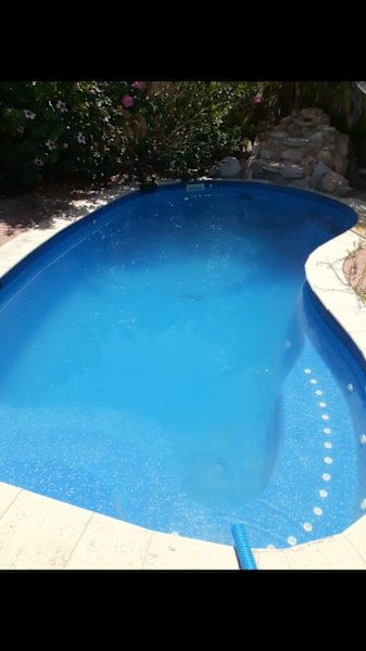 Pool Cleaning Service and Maintenance $85