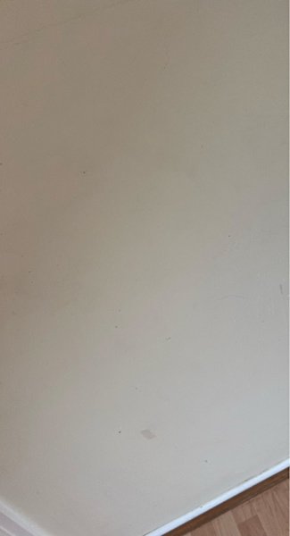 Reliable Cleaning Services – Homes & Offices