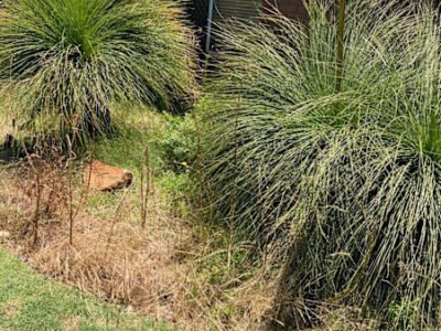 Gardening Services AND Gutters Cleaning