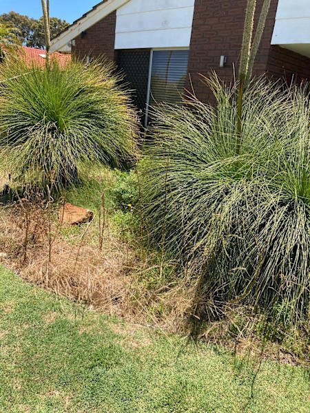 Gardening Services AND Gutters Cleaning