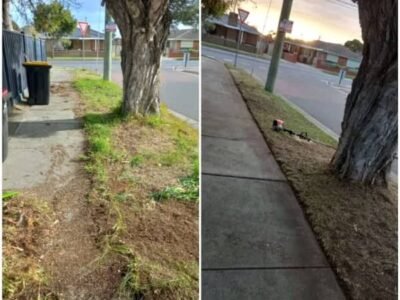 Gardening, Lawn Mowing, Slashing, Acreage, Hedge Trimming