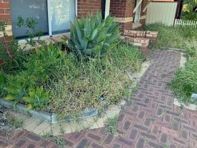 Gardening Services AND Gutters Cleaning