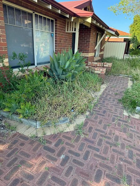 Gardening Services AND Gutters Cleaning