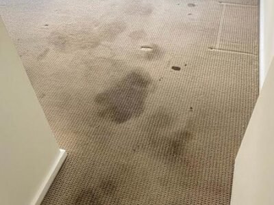 U See cleaning services