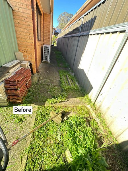 Lawn mowing & Garden services