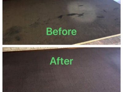 Special 3 bedroom carpet cleaning $99