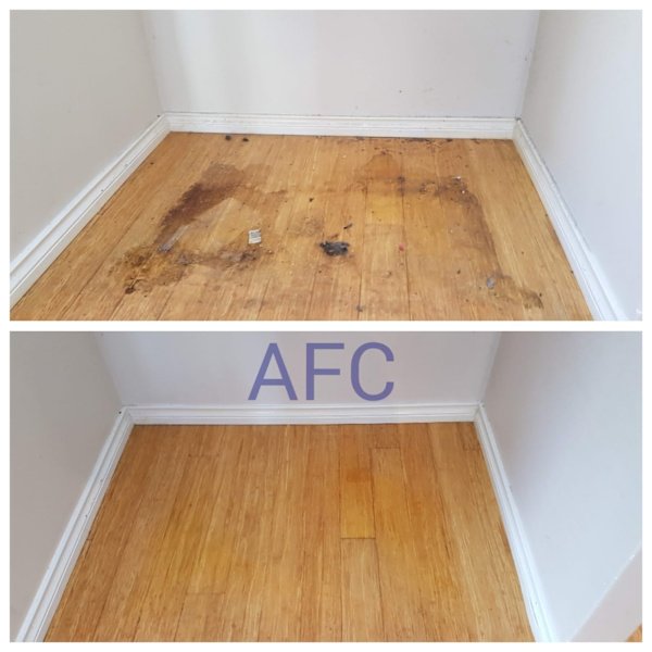 House Cleaning Service