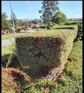 GARDENING WEEDING LAWN MOWING CHAINSAW WORK