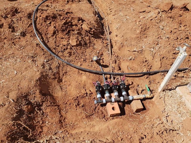 Gardens, trees & property clean-up