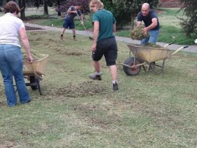 Gardens, trees & property clean-up