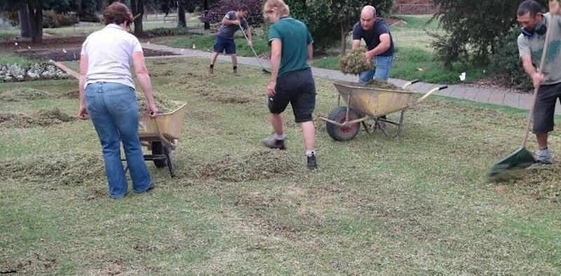 Gardens, trees & property clean-up