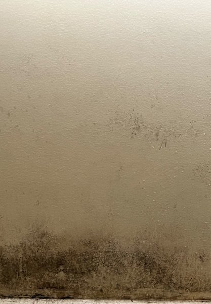 Reliable Cleaning Services – Homes & Offices