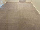 Carpet, Upholstery, Leather, Tile, End Of Lease