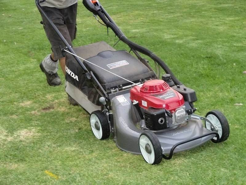 Gardens, trees & property clean-up