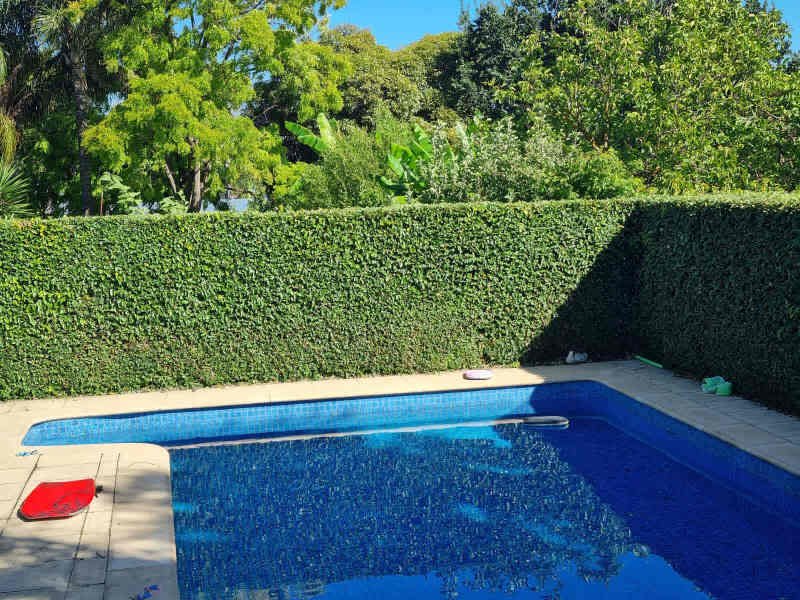 Gardens, trees & property clean-up