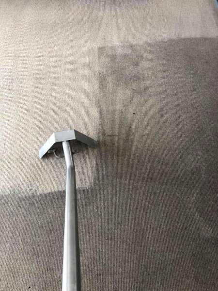 Special 3 bedroom carpet cleaning $99