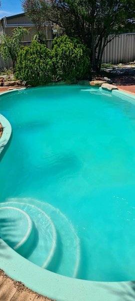 Green Pool cleaning - Pool Cleaner