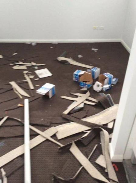 Pro 79 cleaning services