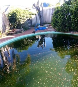 Green Pool cleaning - Pool Cleaner